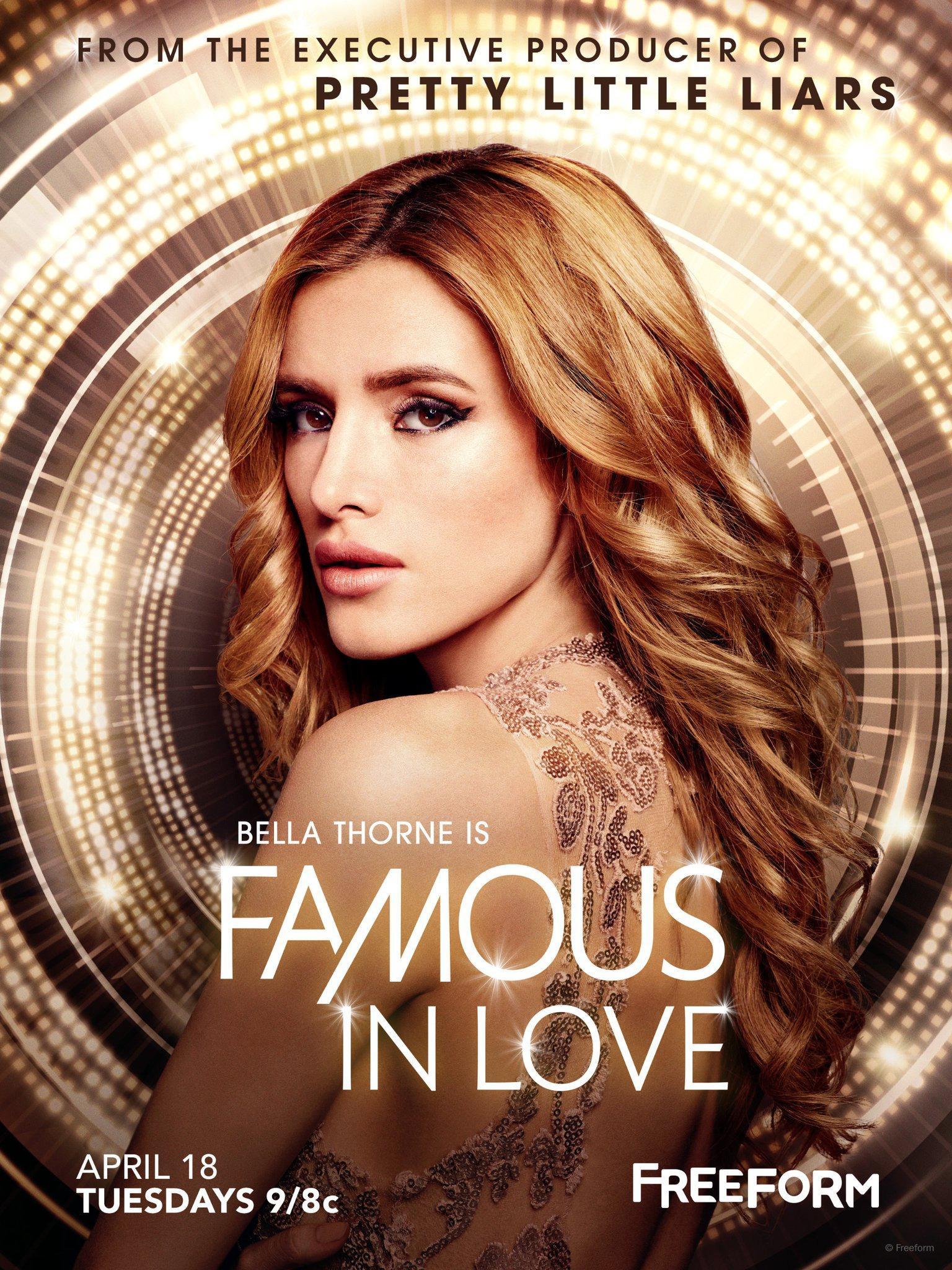 Постер фильма Популярна и влюблена | Famous in Love