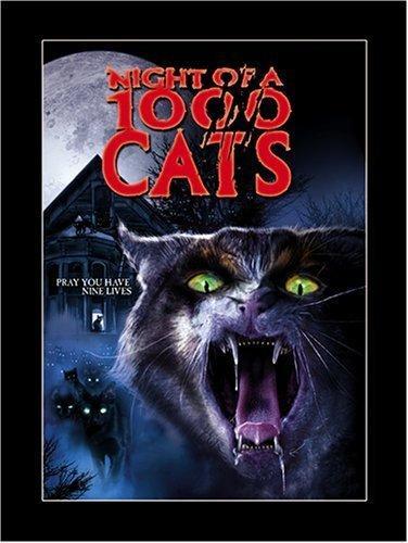 Постер фильма noche de los mil gatos