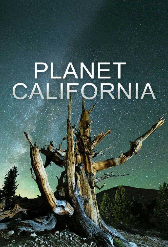 Постер фильма Планета Калифорния | Planet California