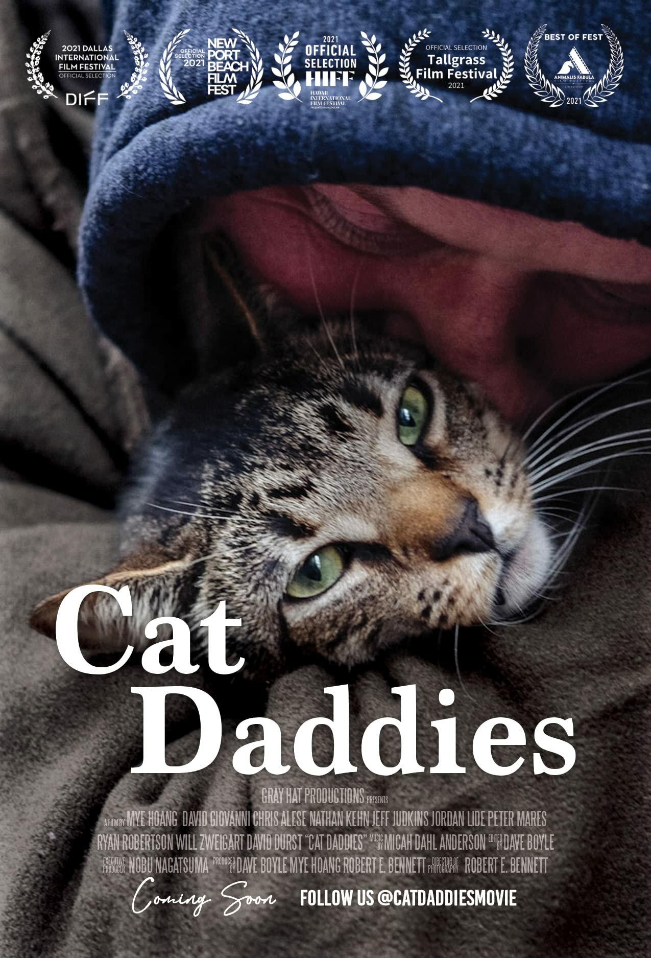 Постер фильма Котики | Cat Daddies