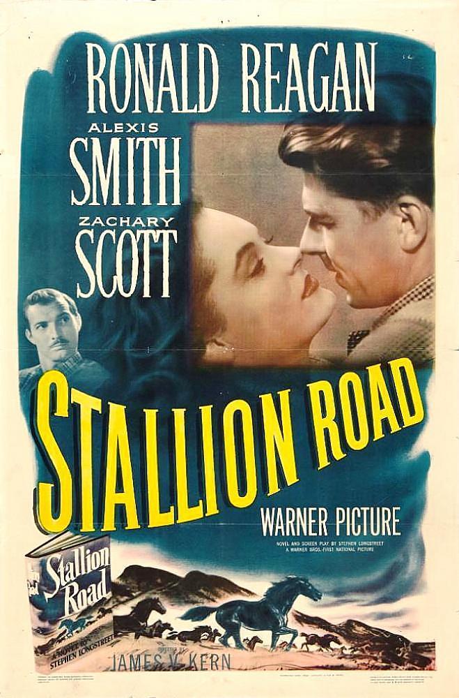 Постер фильма Stallion Road