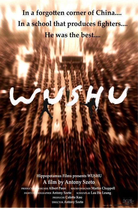 Постер фильма Wushu