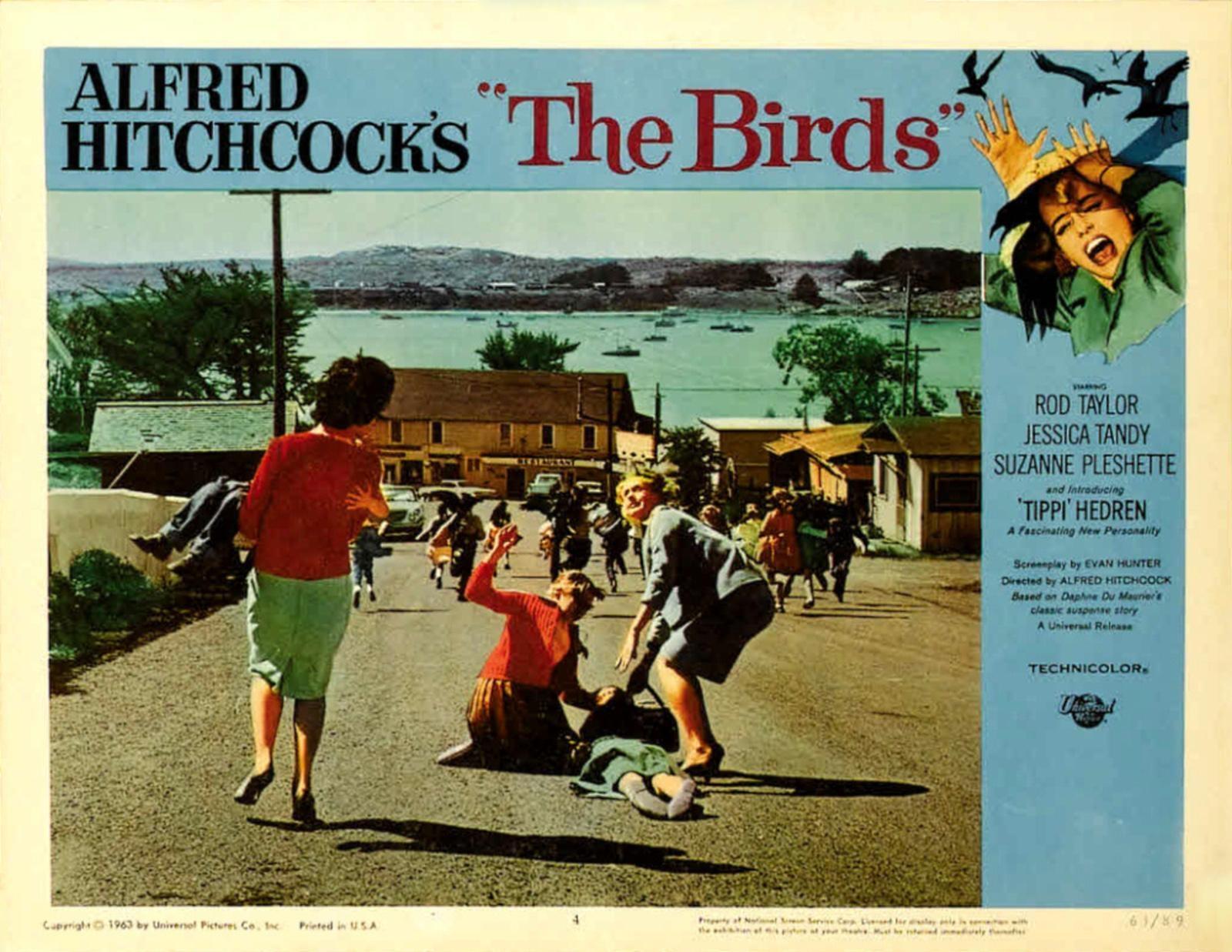 Постер фильма Птицы | Birds