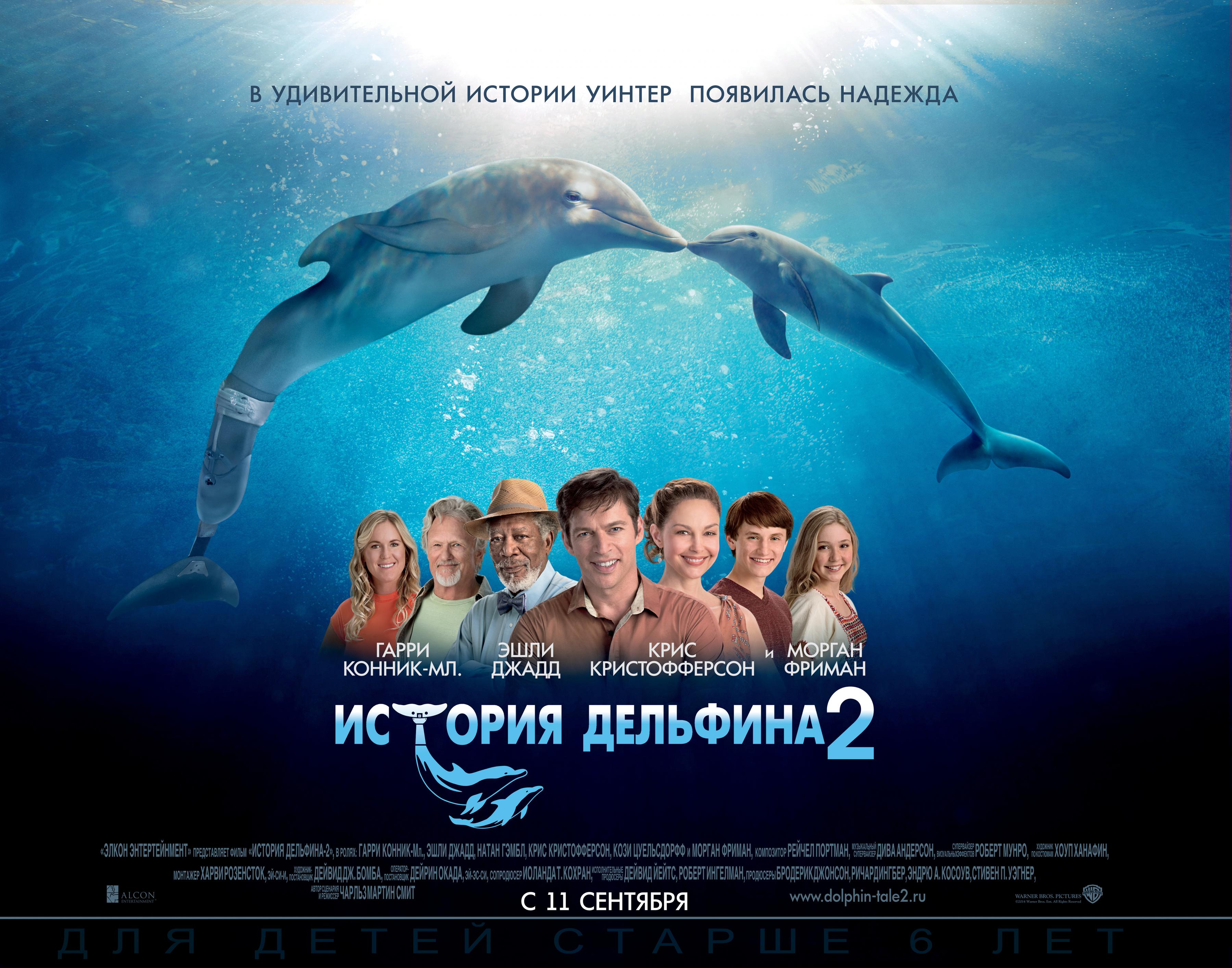 Постер фильма История дельфина 2 | Dolphin Tale 2