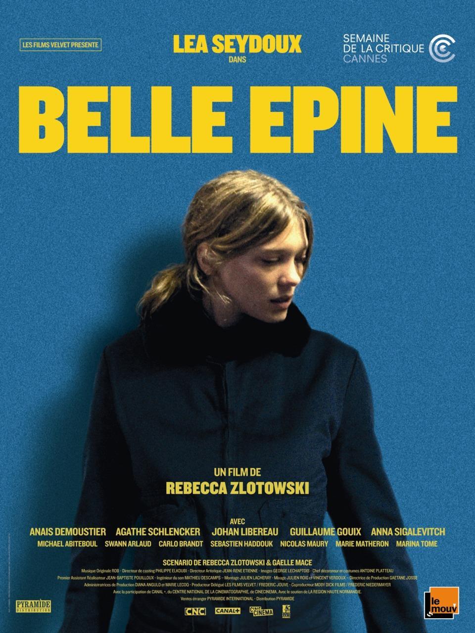 Постер фильма Прекрасная заноза | Belle Épine