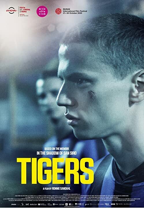 Постер фильма Тигры | Tigers