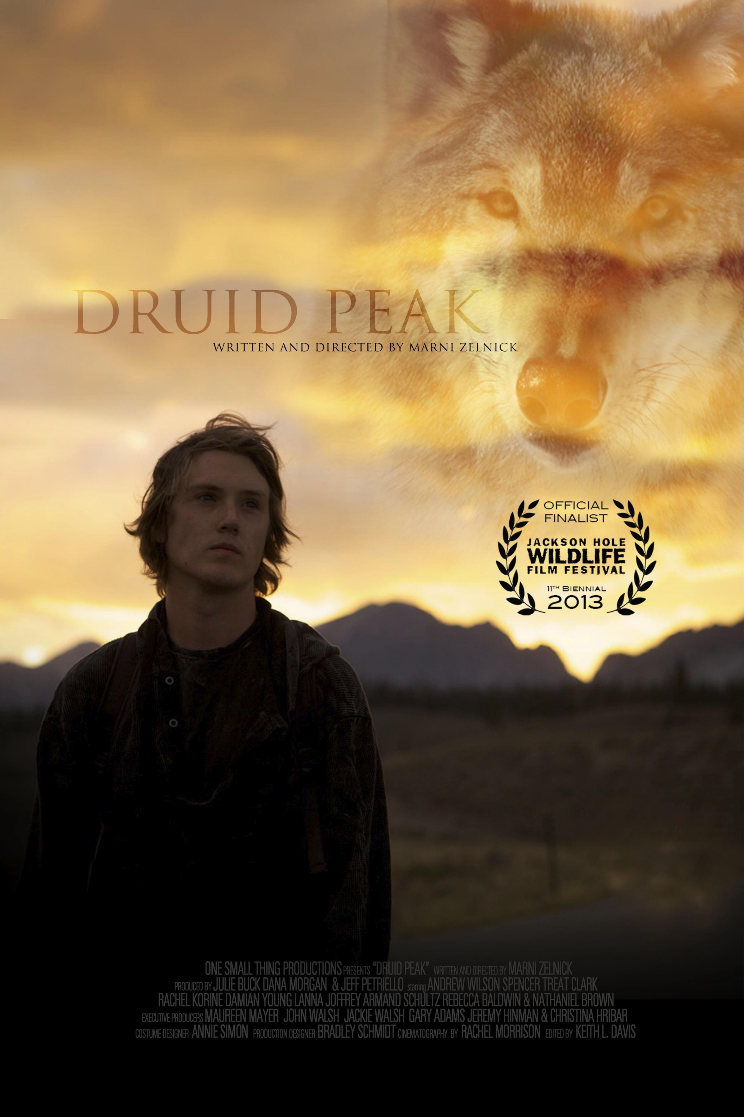 Постер фильма Druid Peak