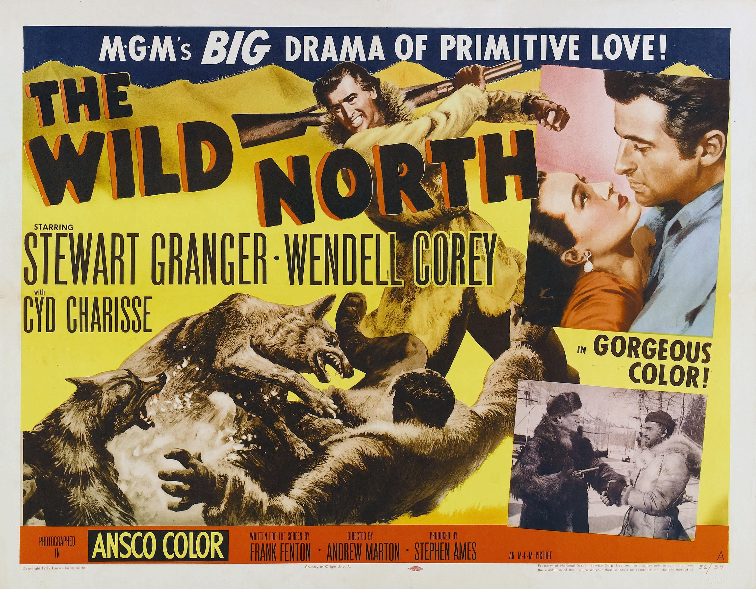 Постер фильма Wild North