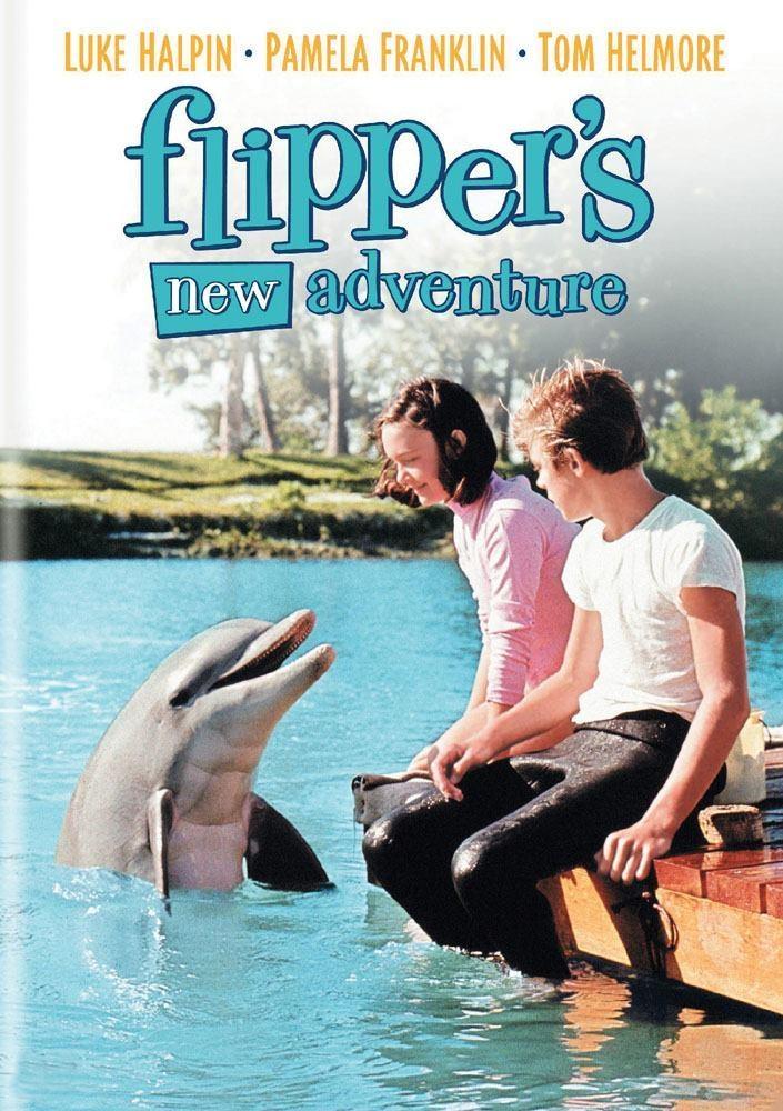 Постер фильма Flipper's New Adventure