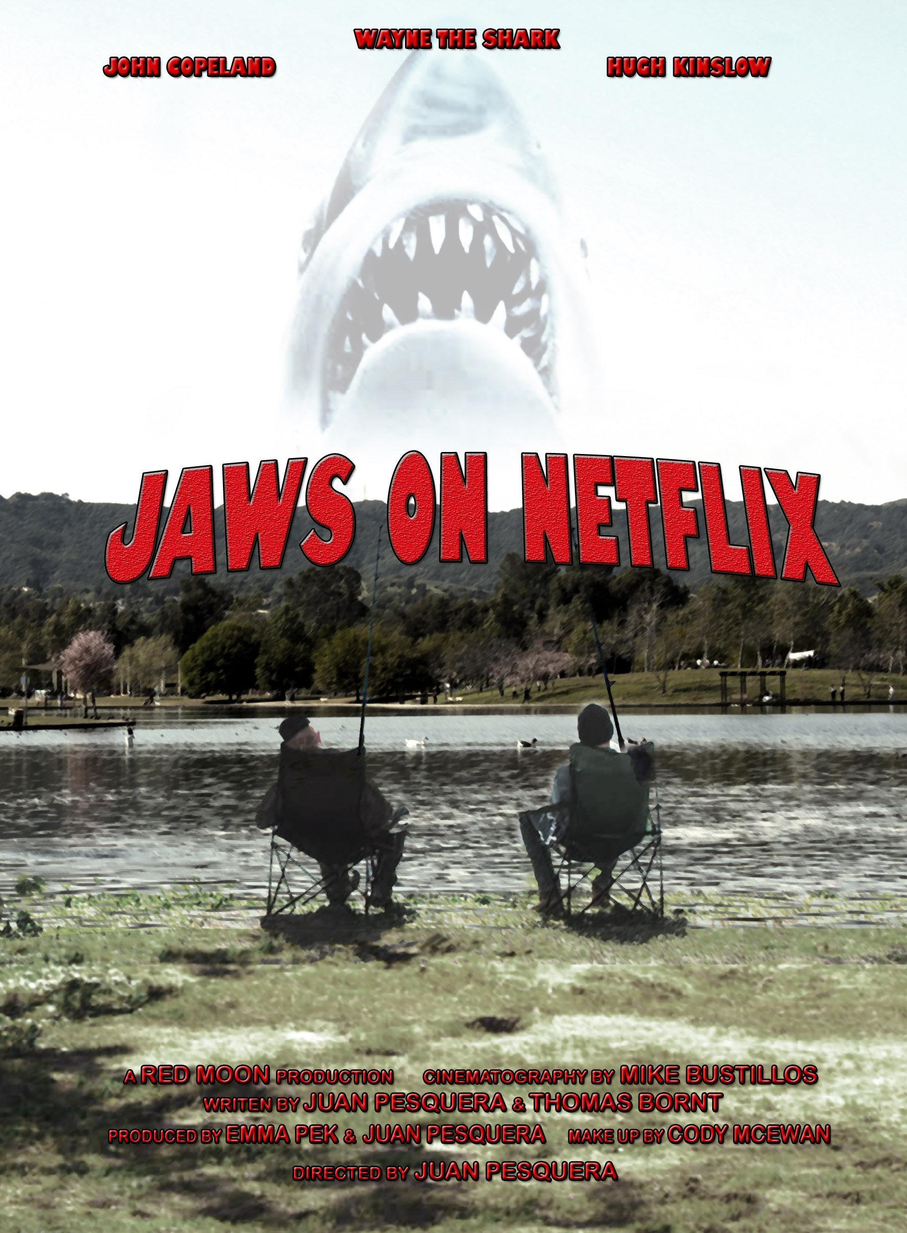 Постер фильма Jaws on Netflix
