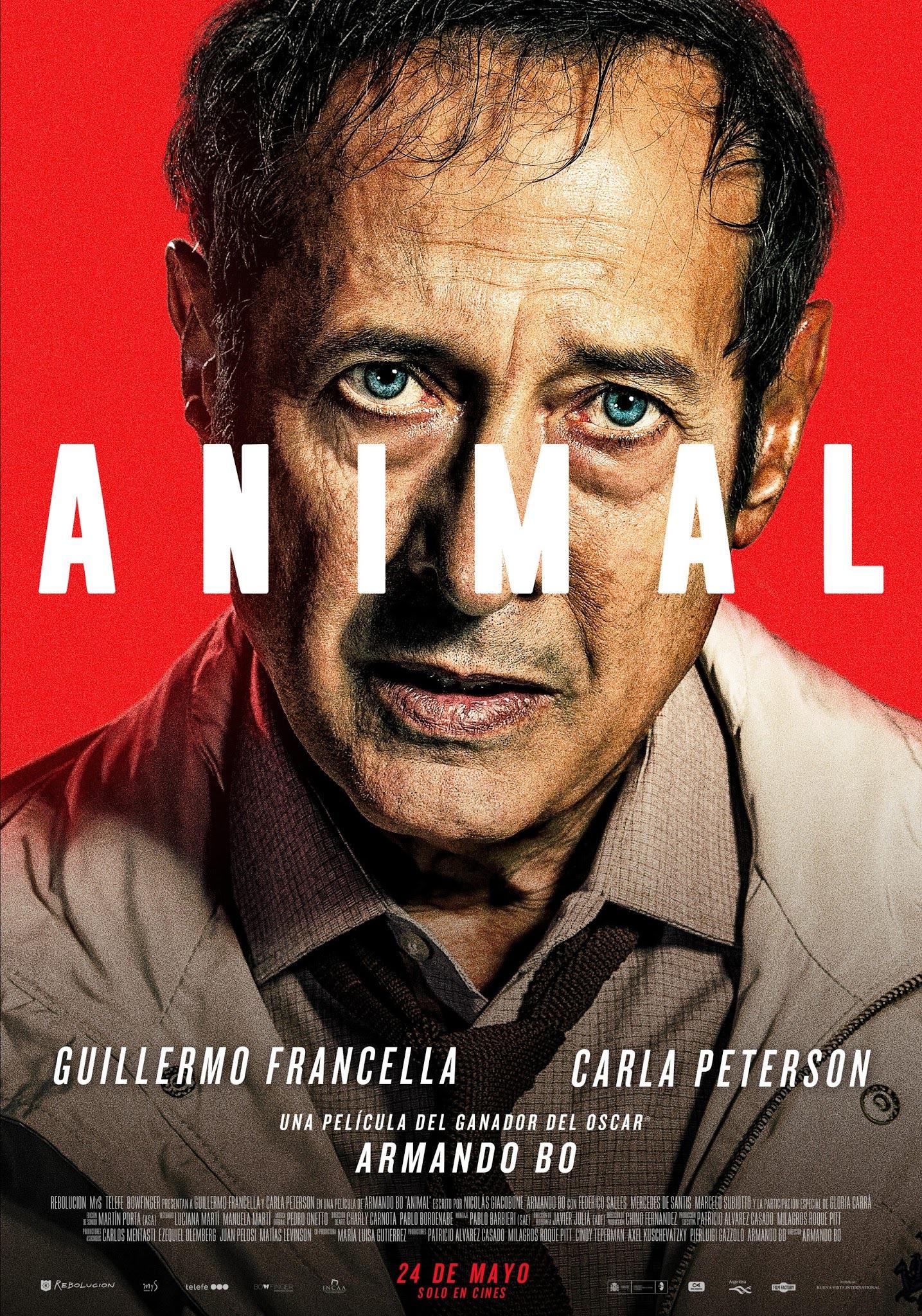 Animal 2018. Гильермо Франселья.