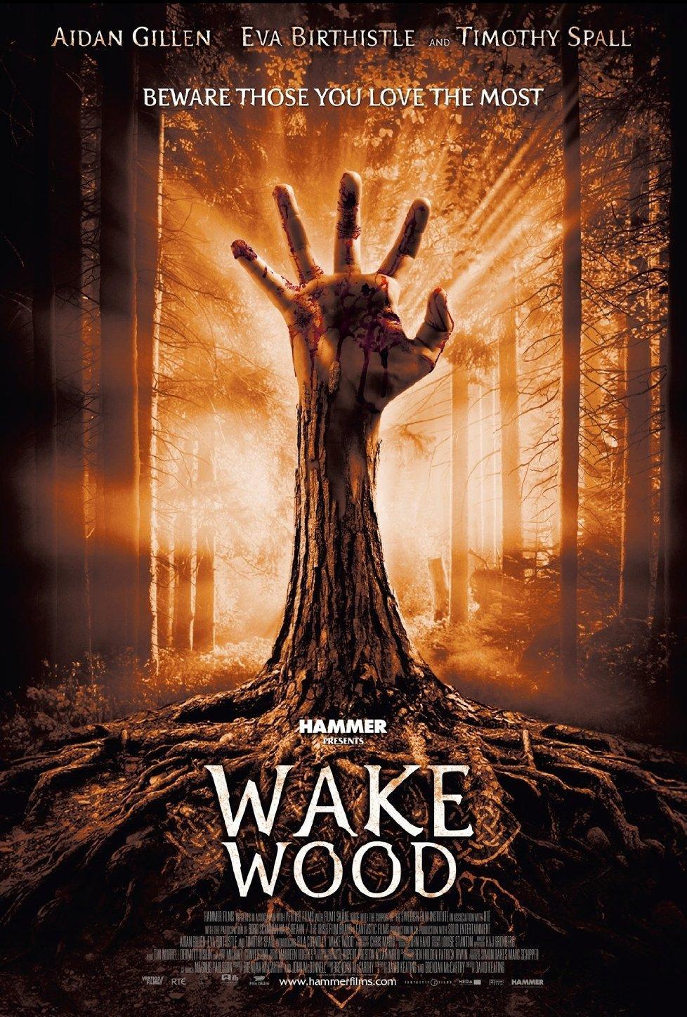 Постер фильма Пробуждающийся лес | Wake Wood