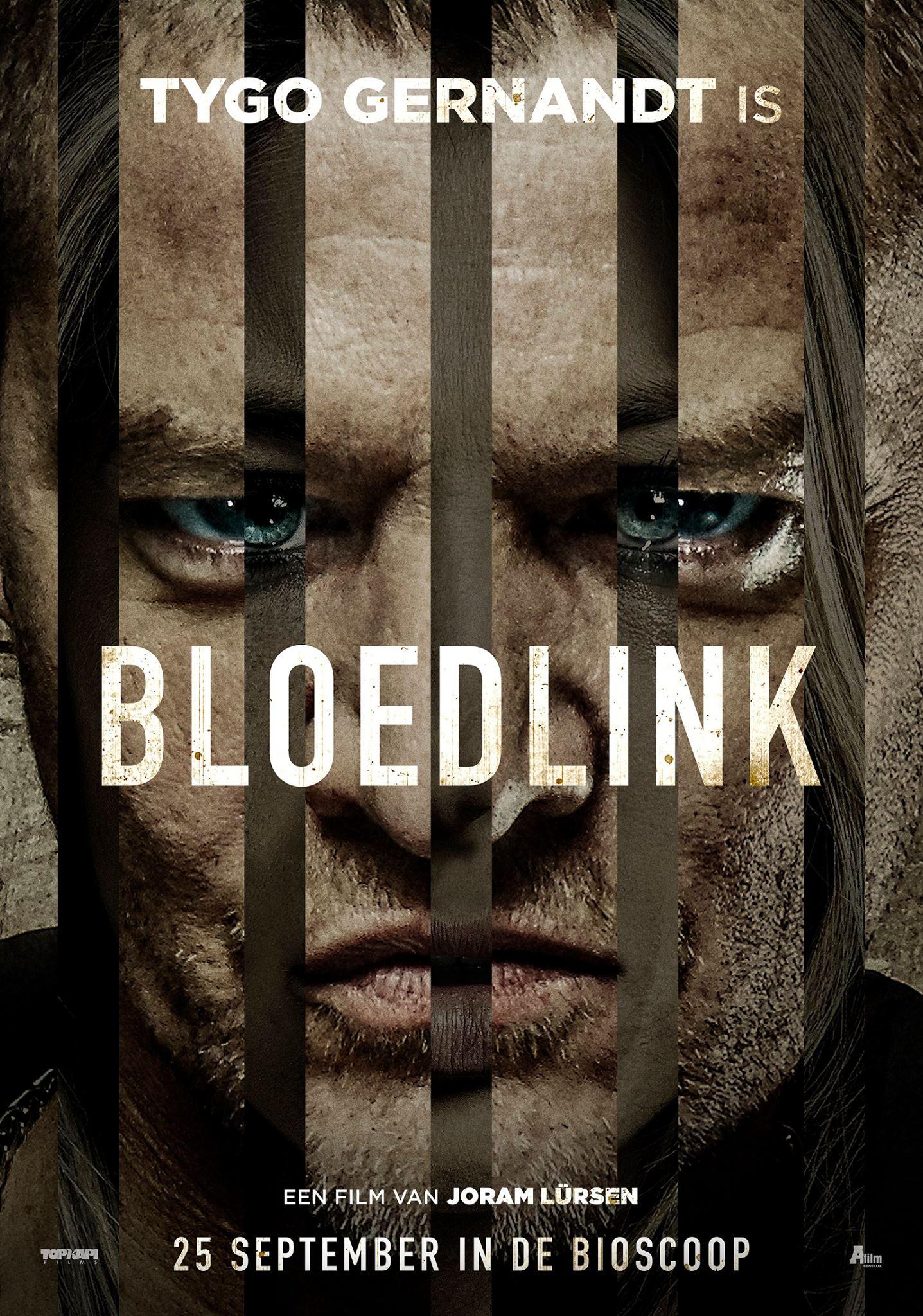 Постер фильма Предательство | Bloedlink