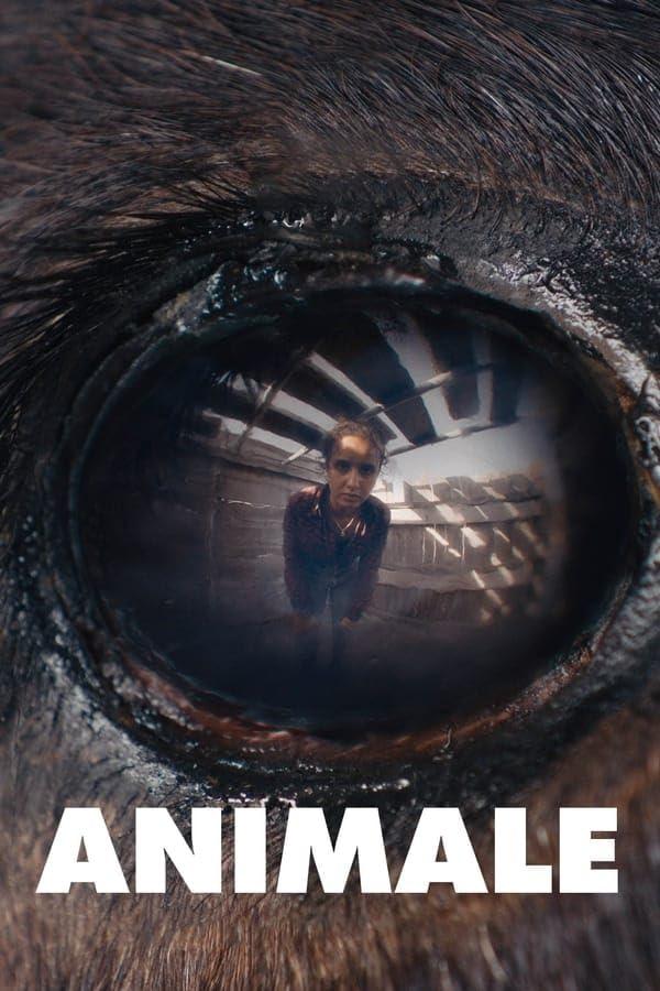 Постер фильма Животное | Animale