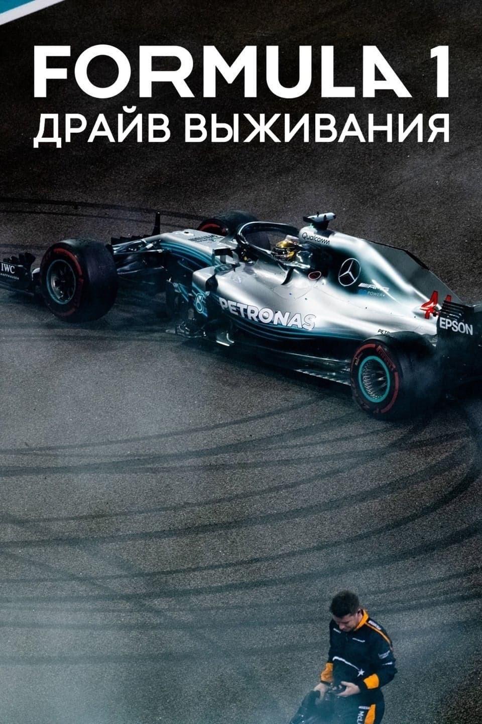 Постер фильма Формула 1: Гонять, чтобы выживать | Formula 1: Drive to Survive