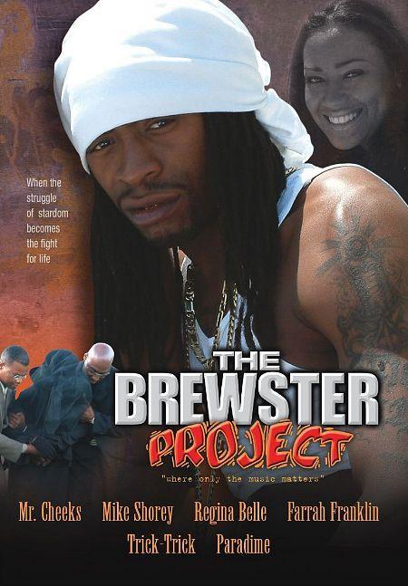 Постер фильма Brewster Project