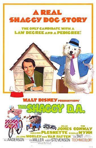 Постер фильма Shaggy D.A.