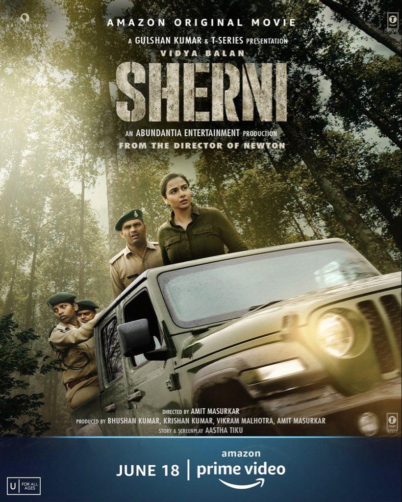 Постер фильма Sherni