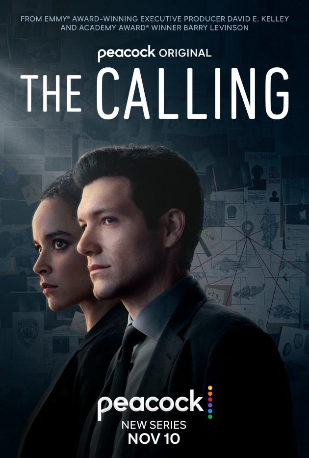 Постер фильма Вызов | The Calling