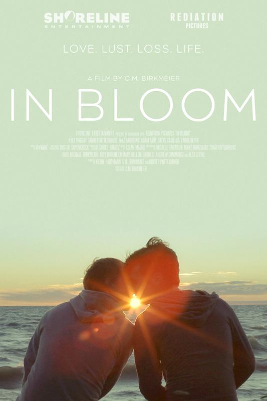 Постер фильма В цвету | In Bloom