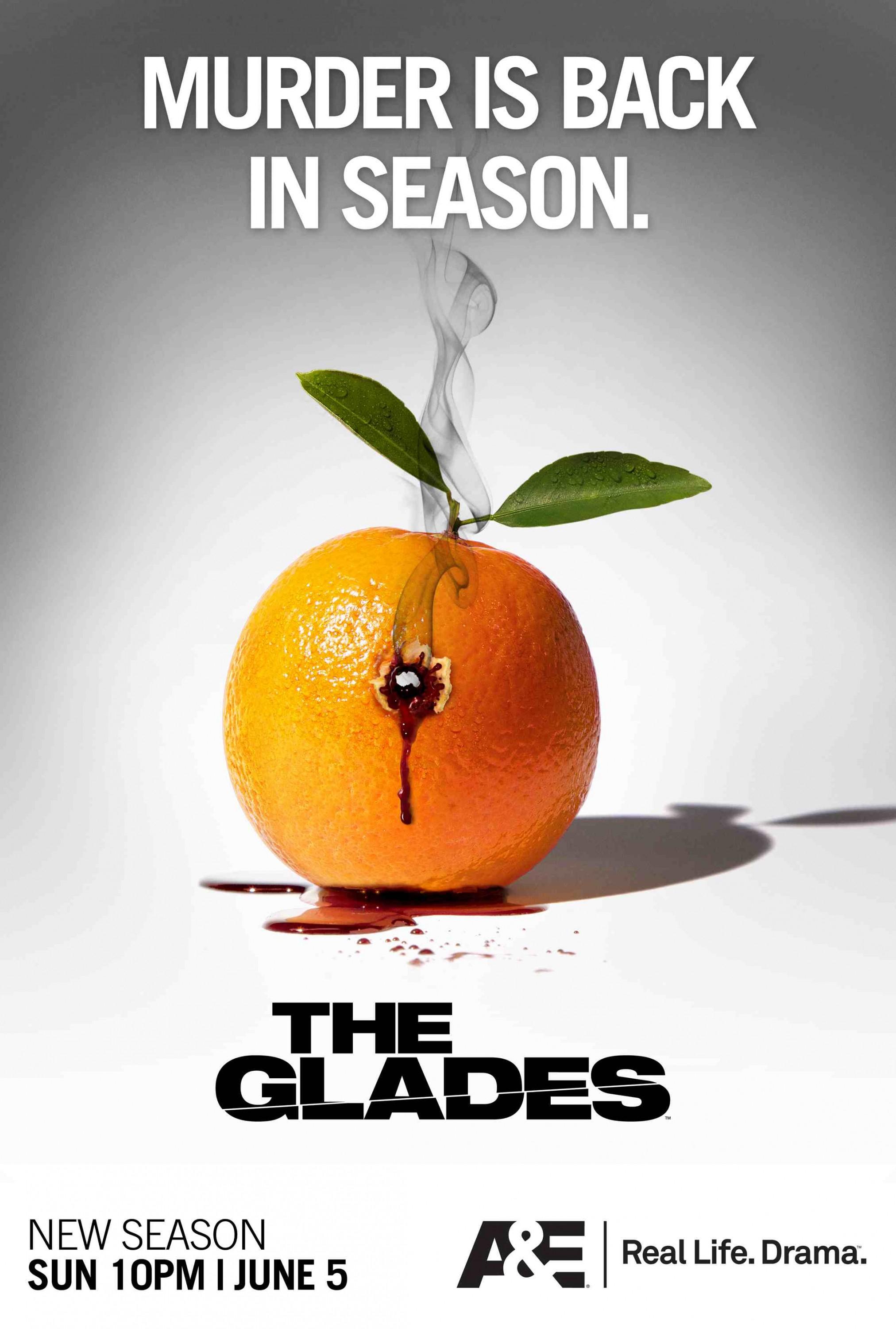 Постер фильма Болота | Glades