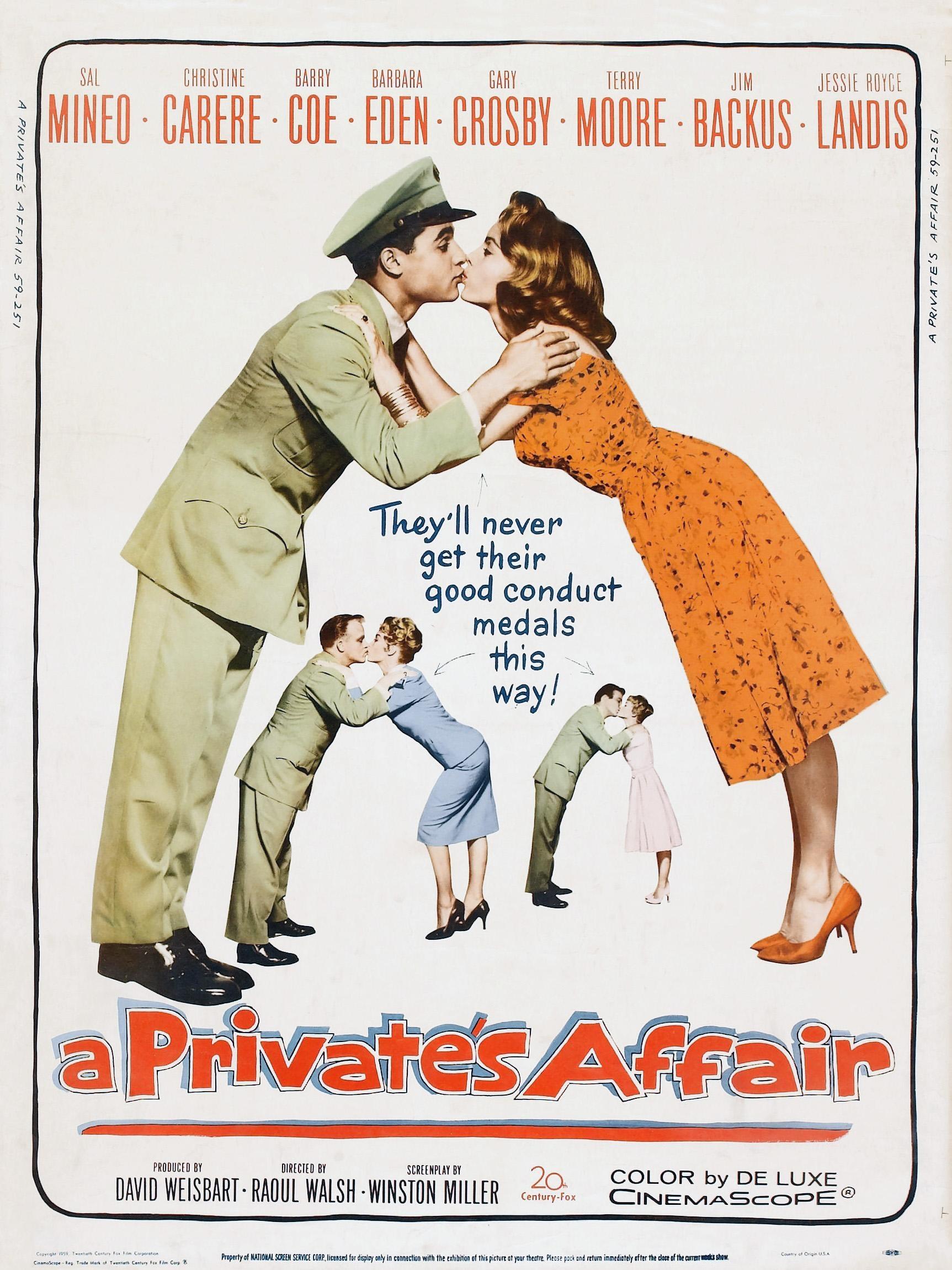 Постер фильма Private's Affair