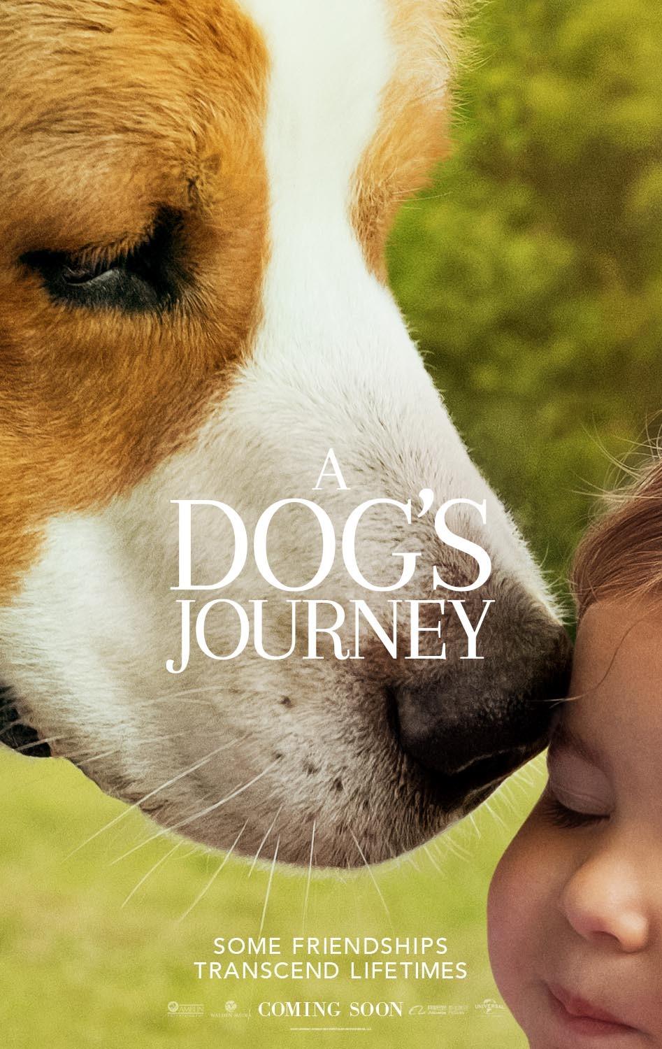 Постер фильма Собачья жизнь 2 | A Dog's Journey 