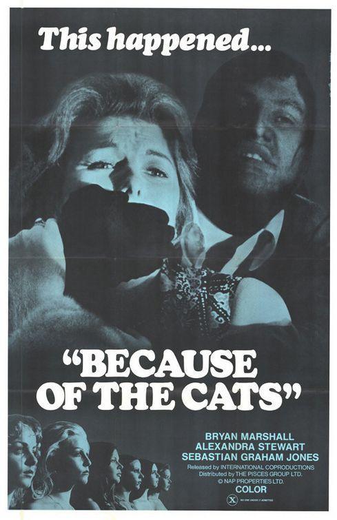 Постер фильма Из-за кошек | Because of the Cats