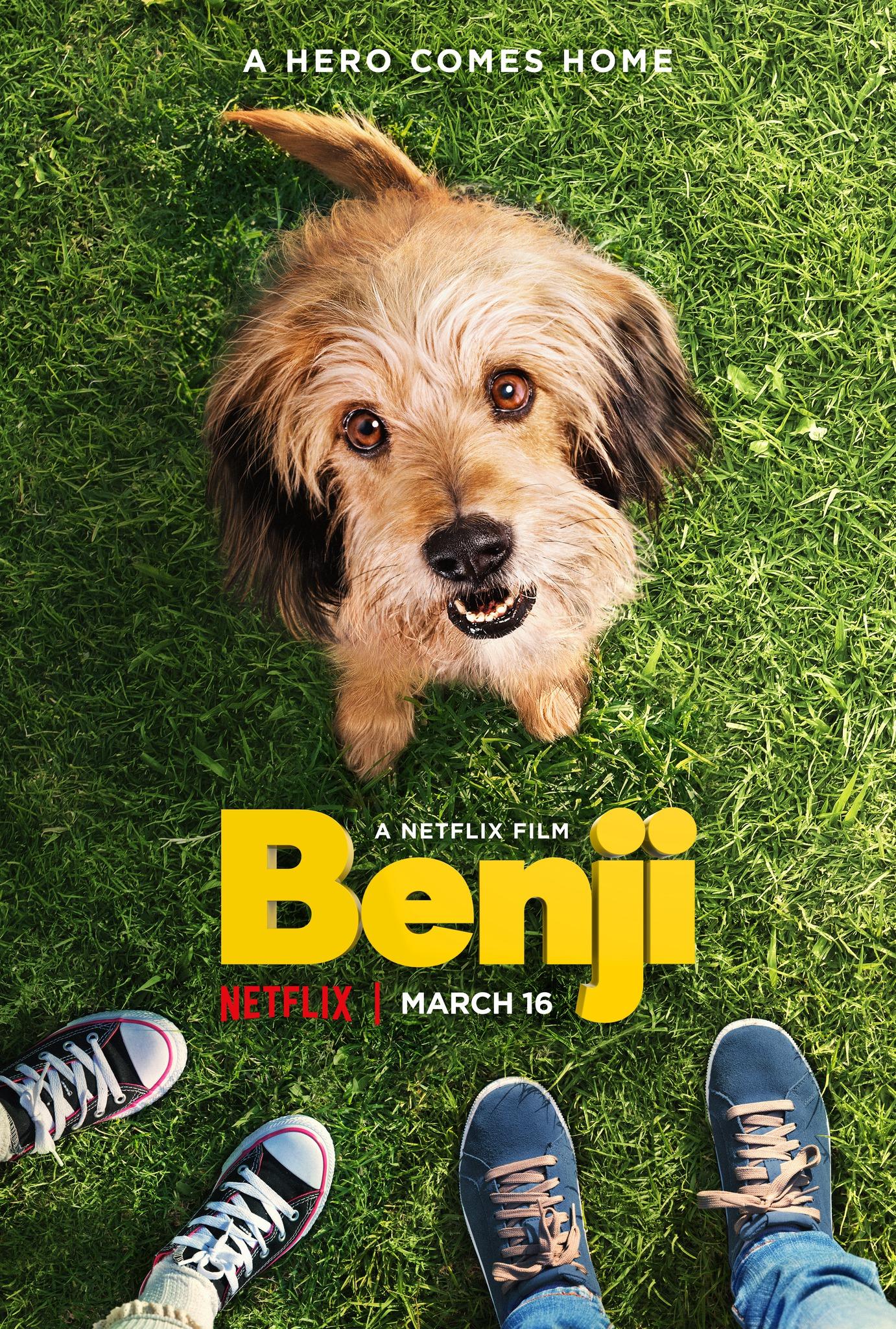 Постер фильма Benji