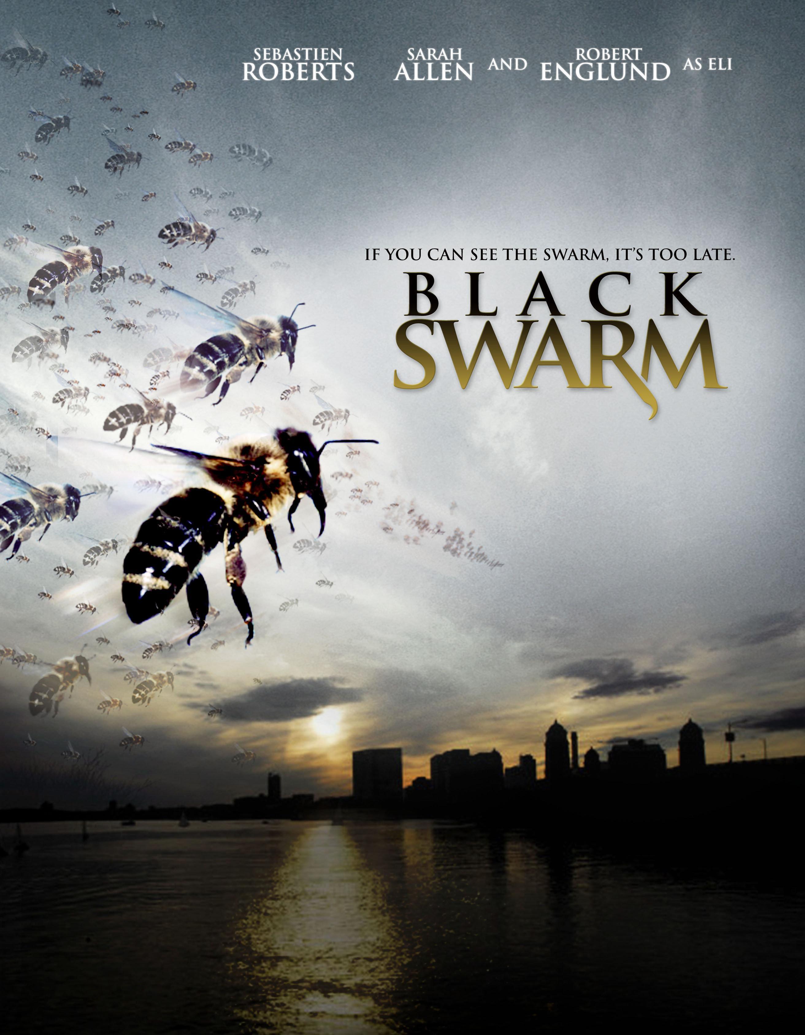 Постер фильма Черный рой | Black Swarm