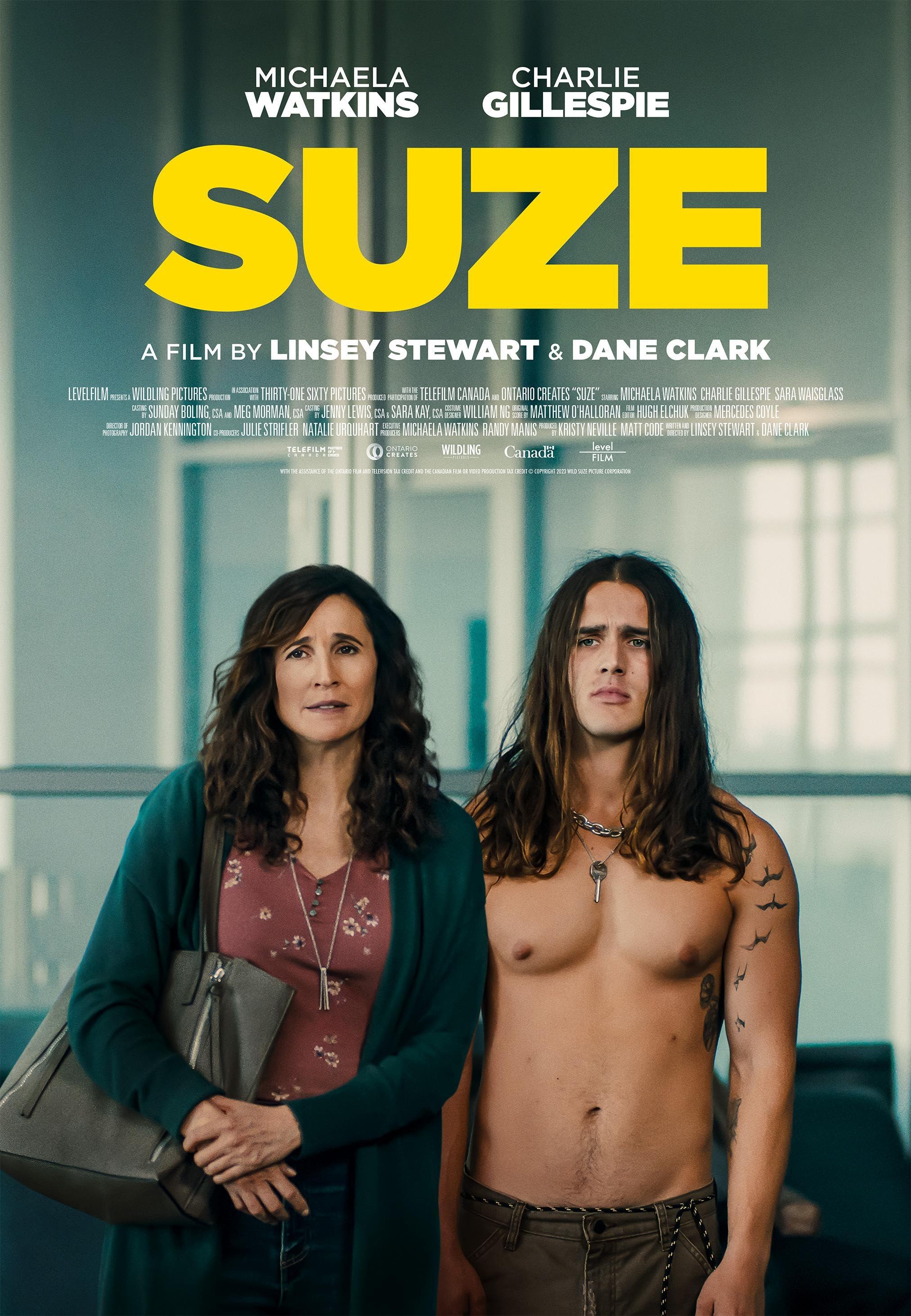 Постер фильма Suze