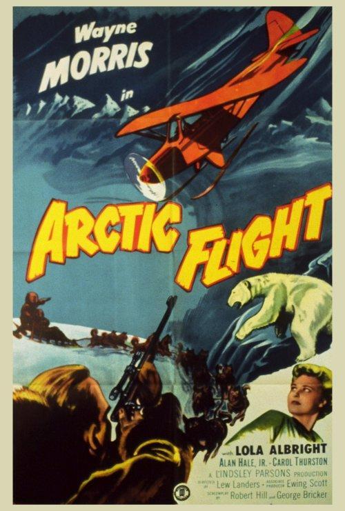 Постер фильма Arctic Flight