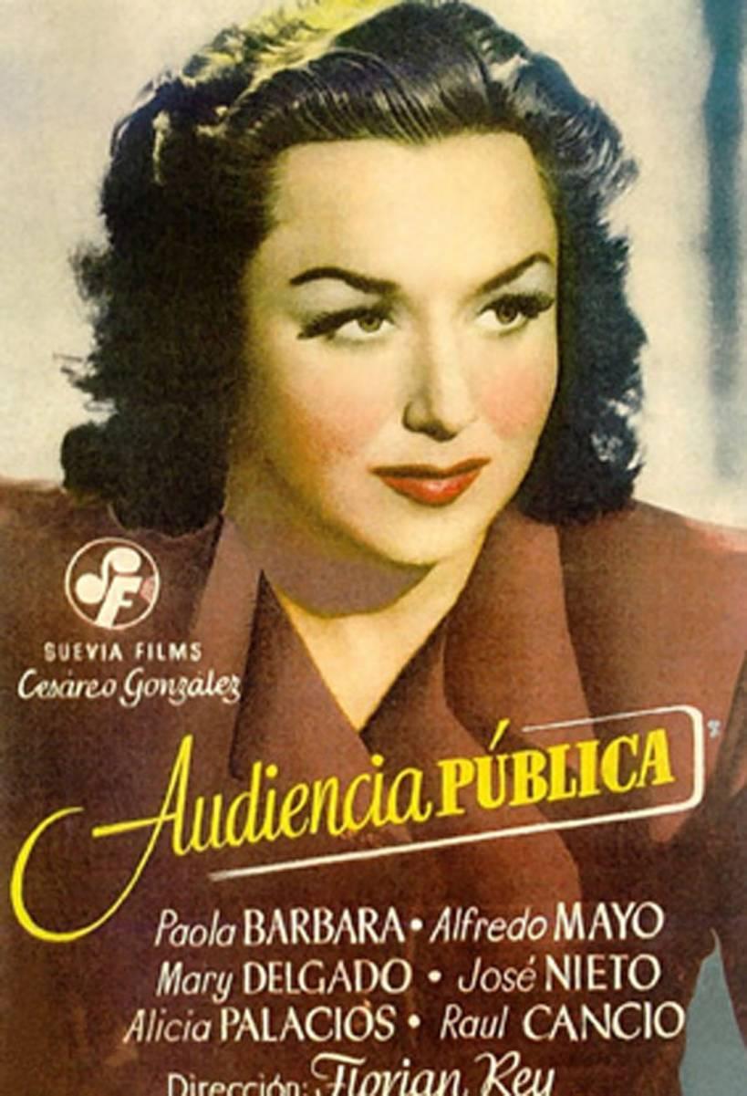 Постер фильма Audiencia pública