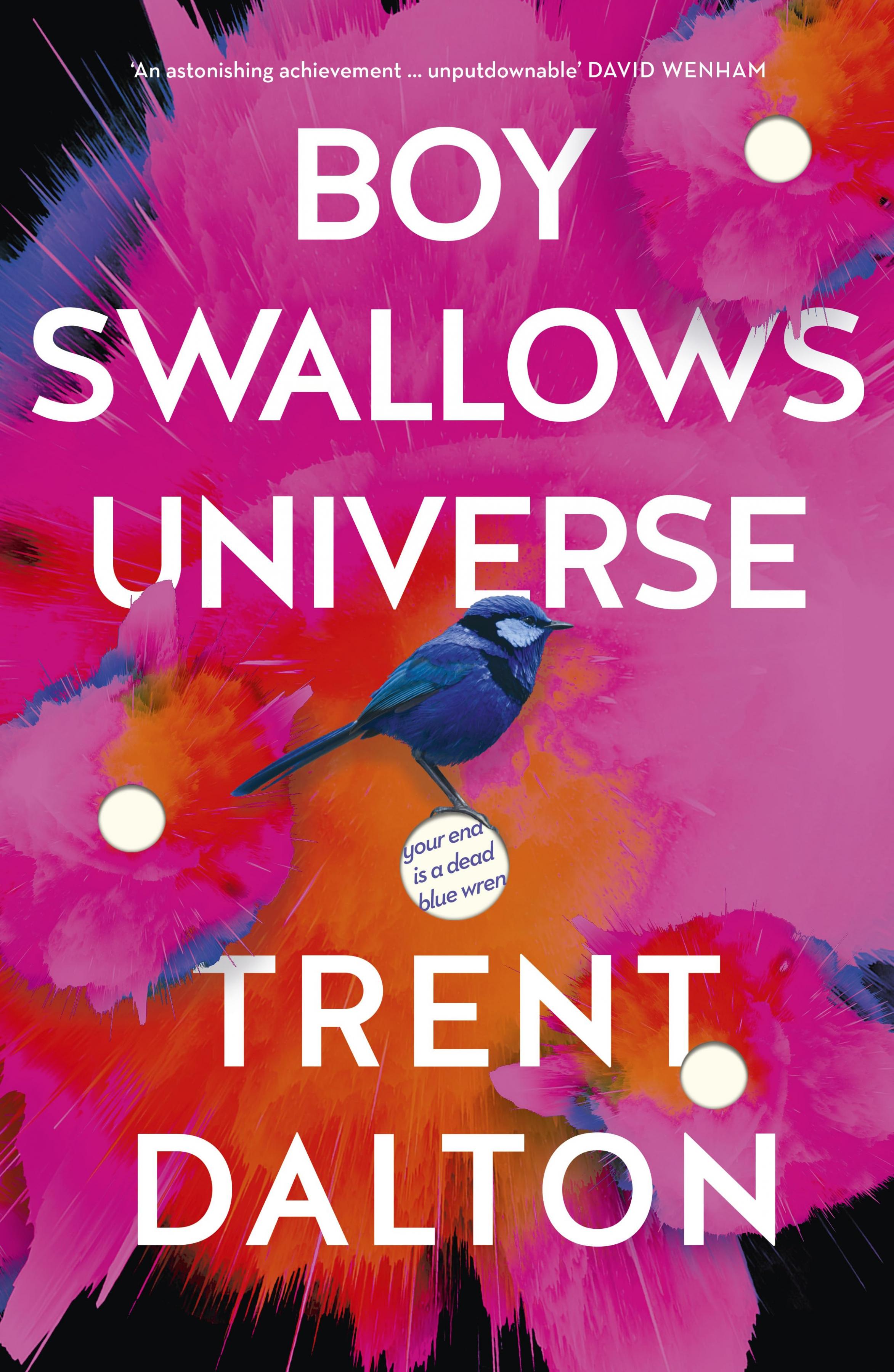 Постер фильма Мальчик поглощает Вселенную | Boy Swallows Universe