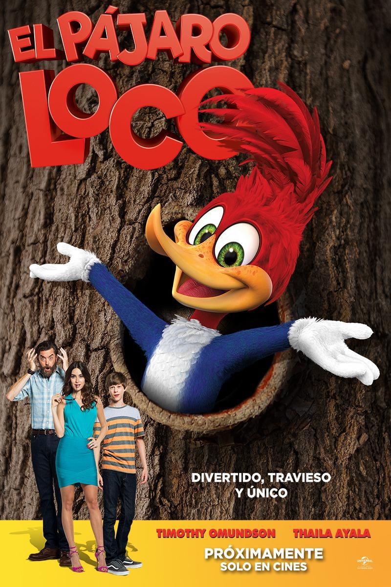 Постер фильма Woody Woodpecker