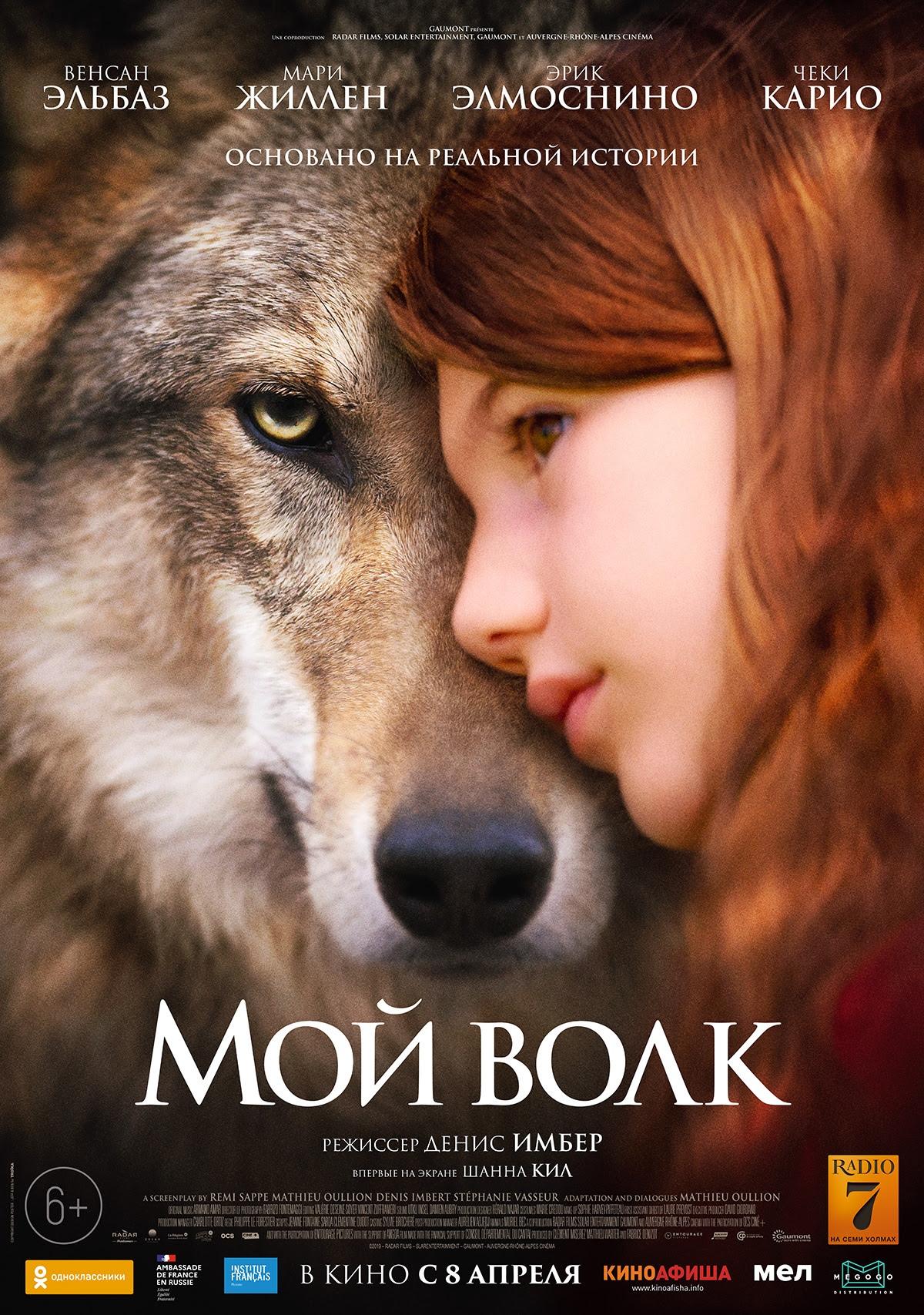 Постер фильма Мой волк | Mystère