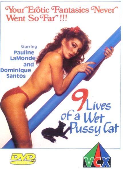 Постер фильма Девять жизней мокрой киски | 9 Lives of a Wet Pussy