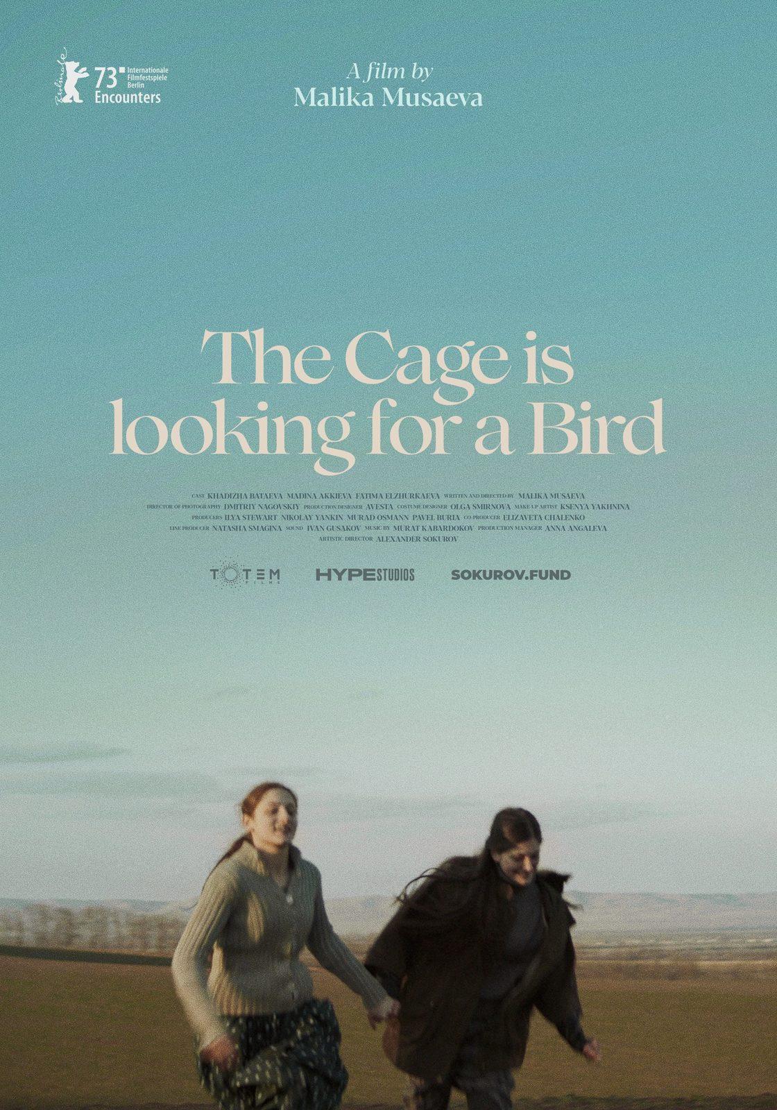 Постер фильма Клетка ищет птицу | The Cage Is Looking for a Bird