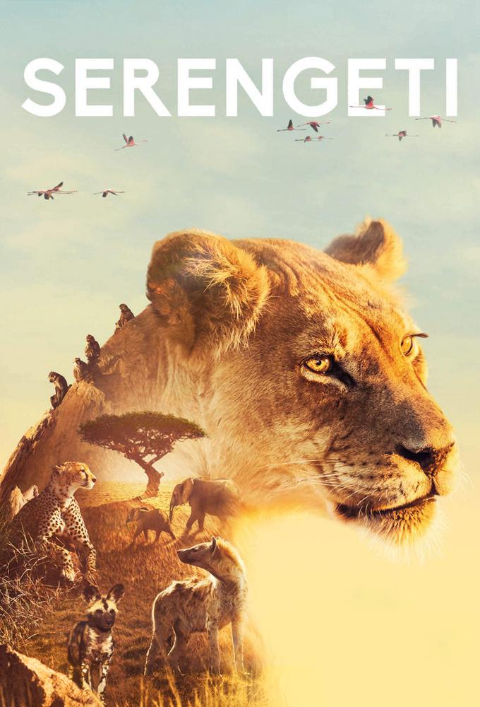 Постер фильма BBC: Серенгети | Serengeti