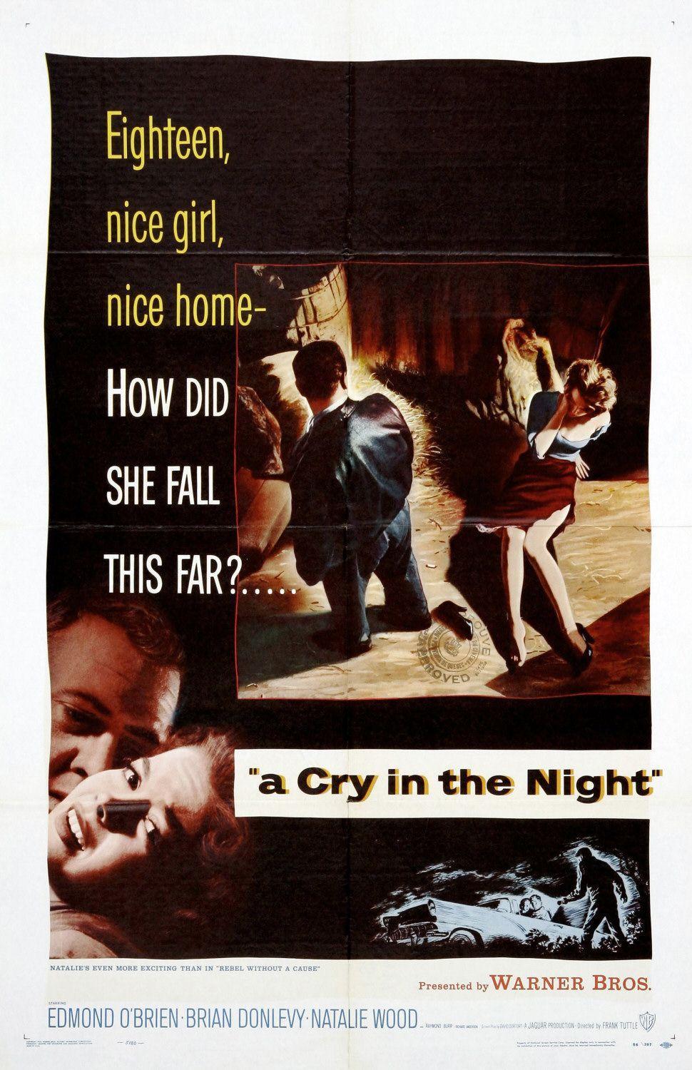 Постер фильма Cry in the Night