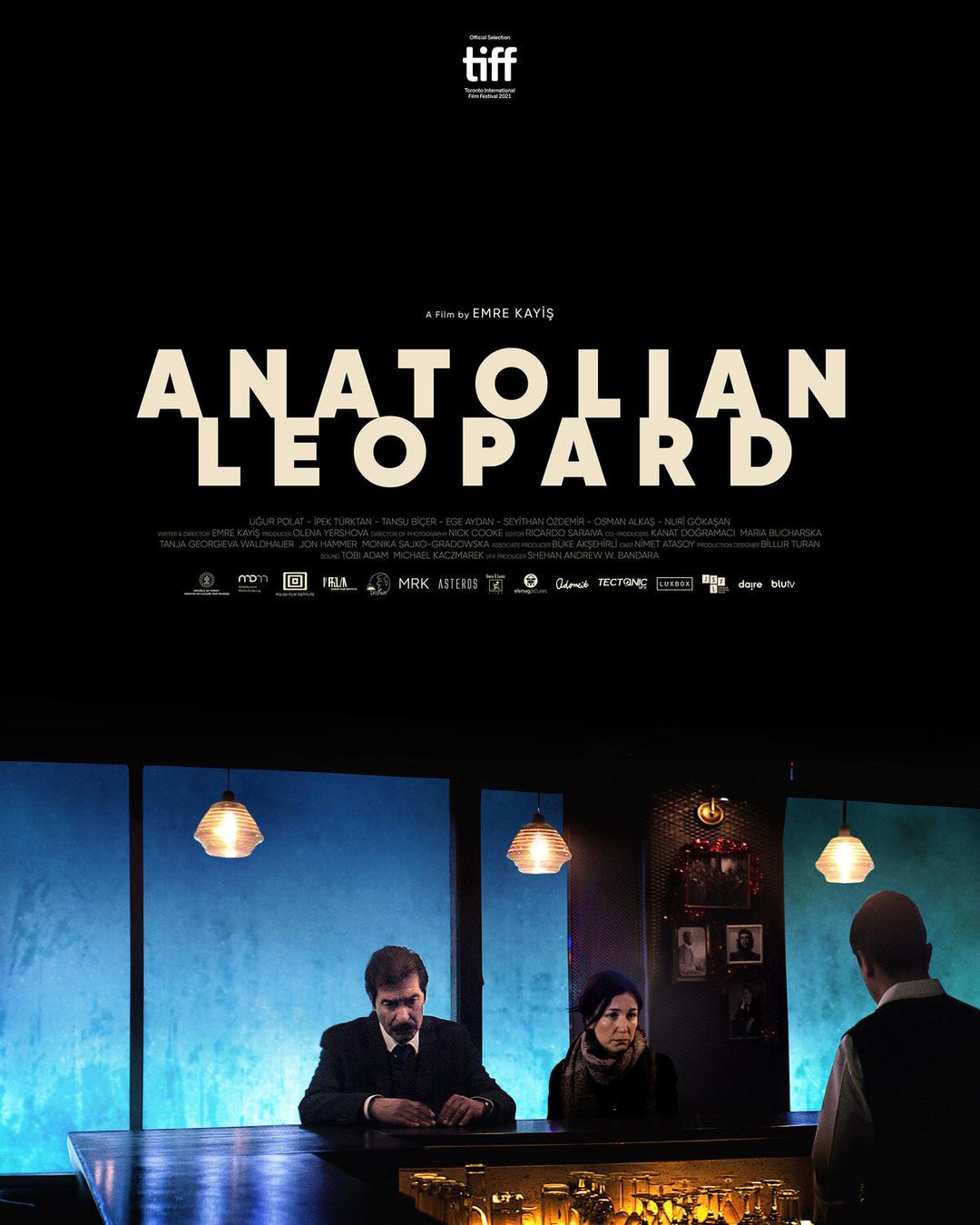 Постер фильма Анатолийский леопард | Anadolu Leopari