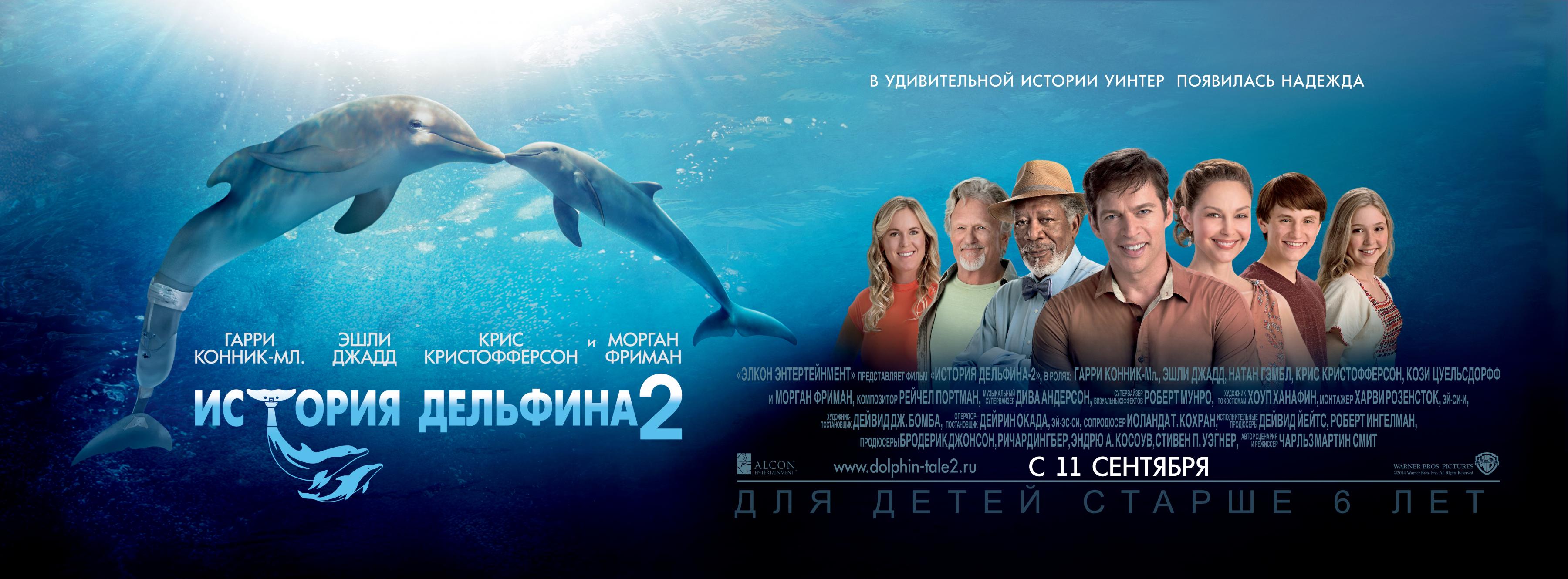 Постер фильма История дельфина 2 | Dolphin Tale 2