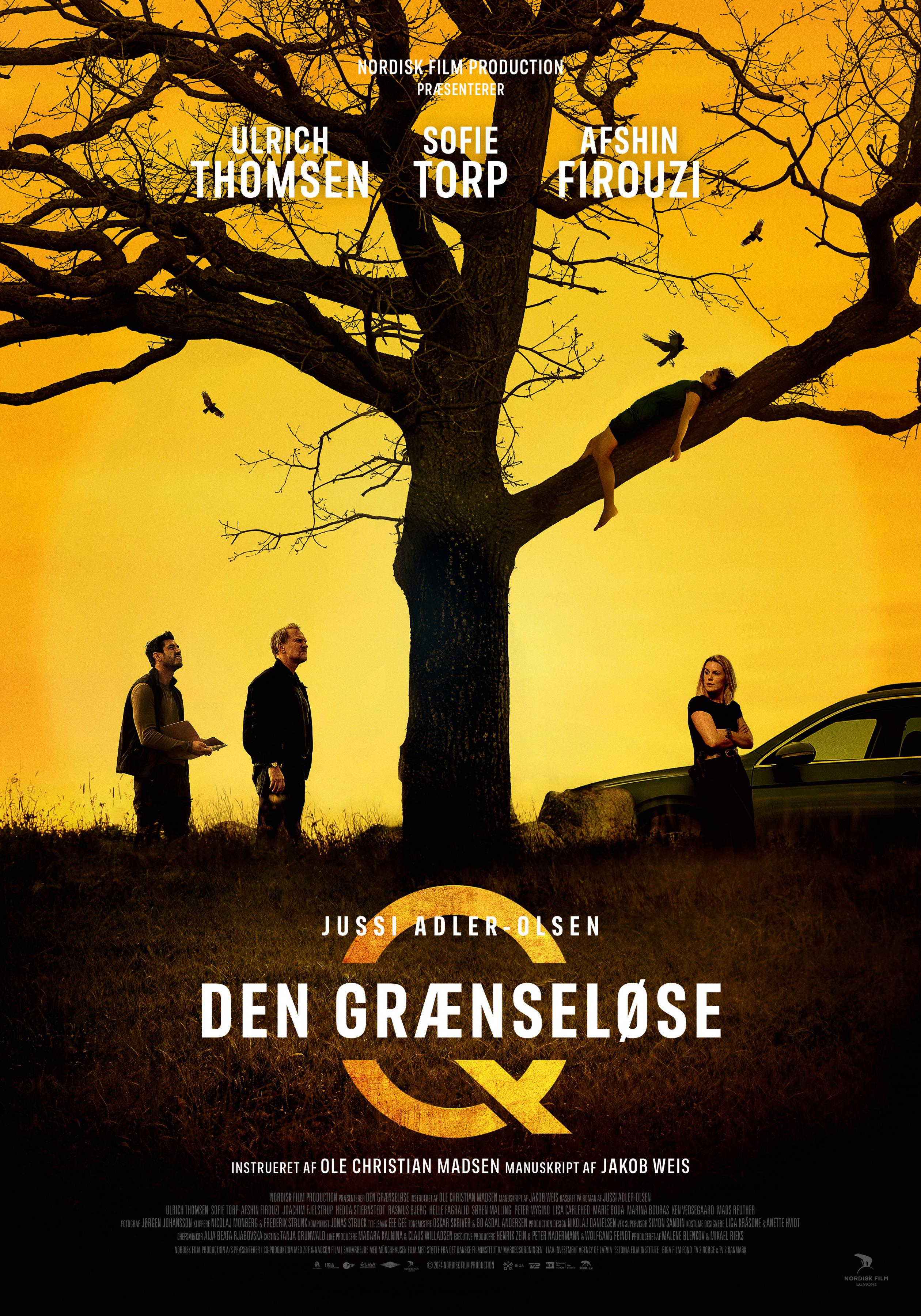 Постер фильма Den grænseløse