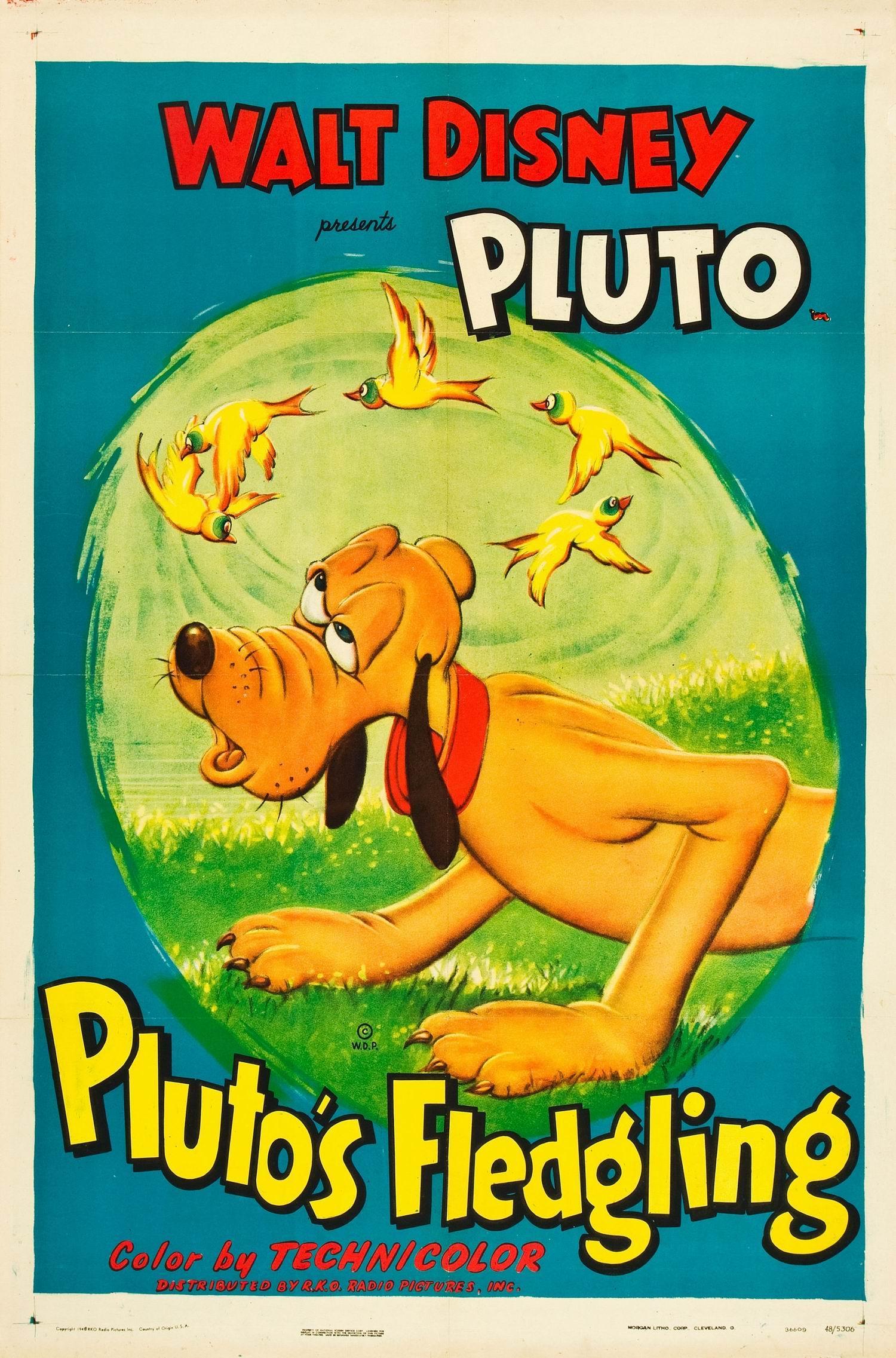 Постер фильма Pluto's Fledgling