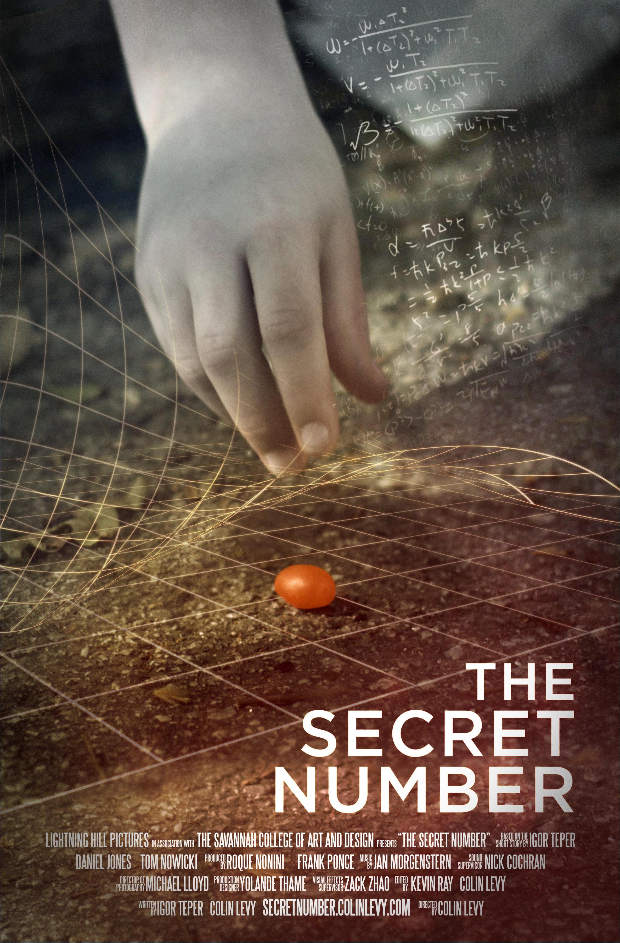 Постер фильма Тайное число | Secret Number