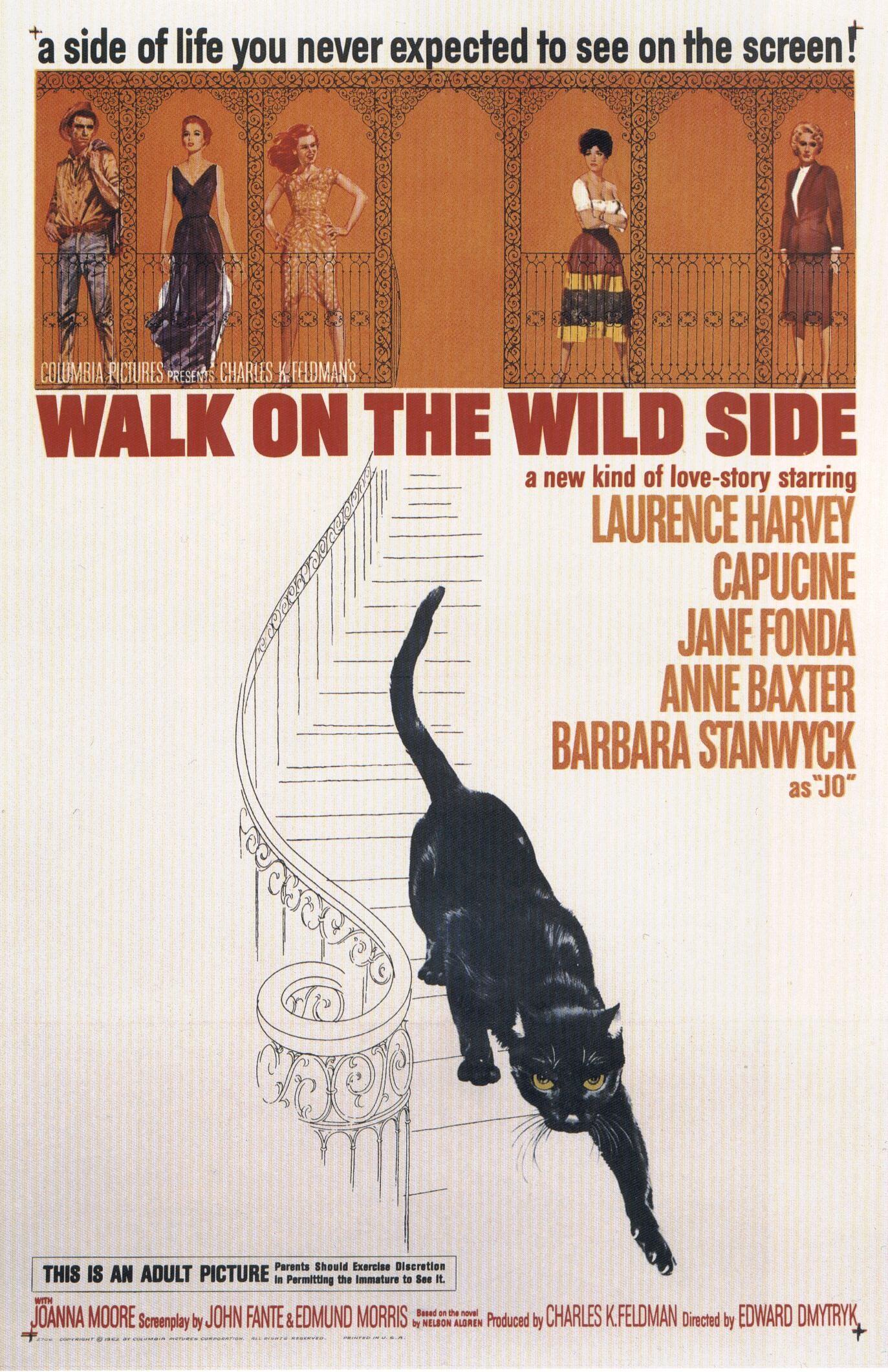 Постер фильма Прогулка по беспутному кварталу | Walk on the Wild Side
