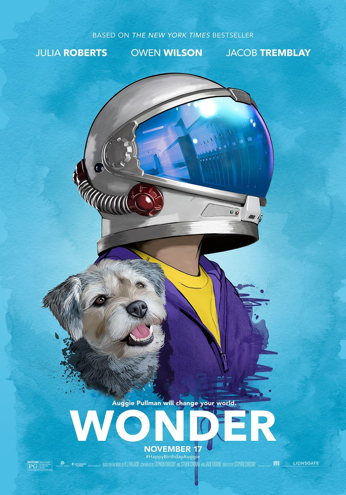 Постер фильма Чудо | Wonder