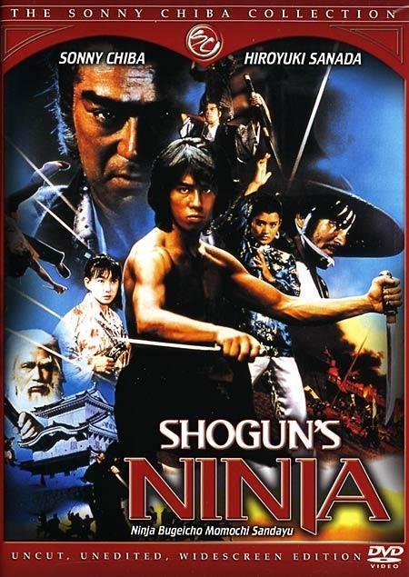 Постер фильма Ninja bugeicho momochi sandayu