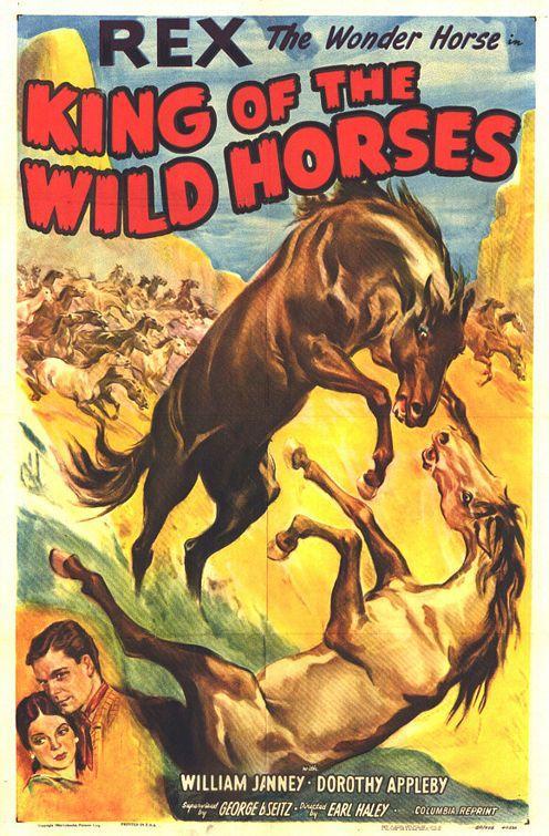 Постер фильма King of the Wild Horses
