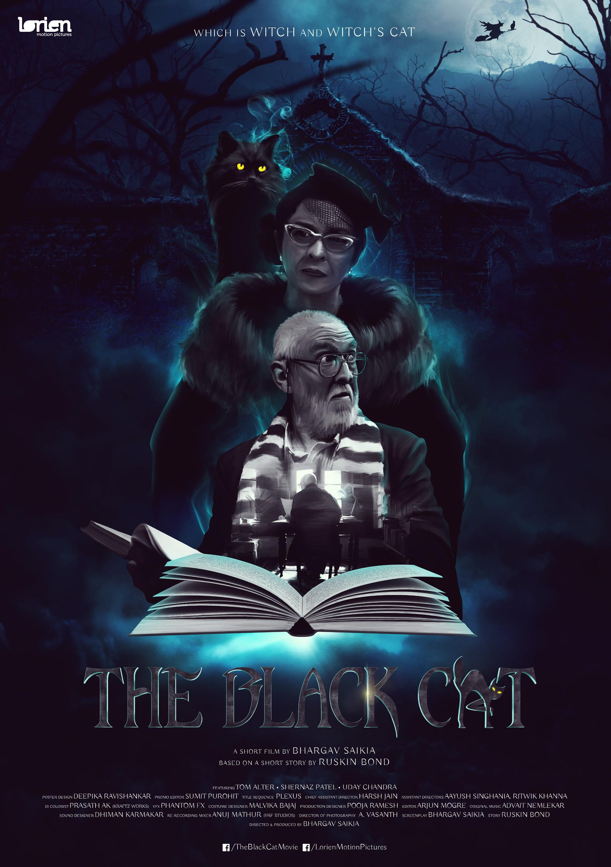 Постер фильма The Black Cat 